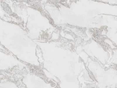 Winter Marble Splashback