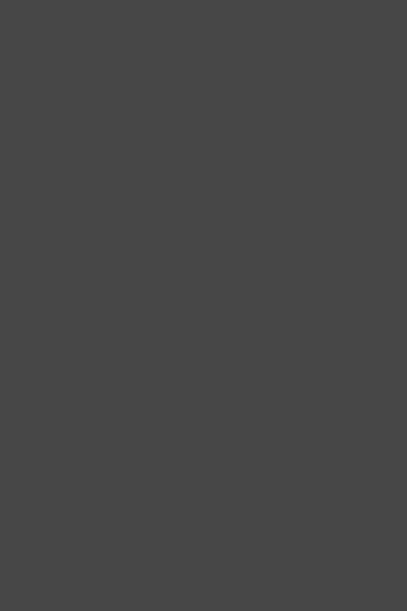 Zurfiz Supermatt Graphite door