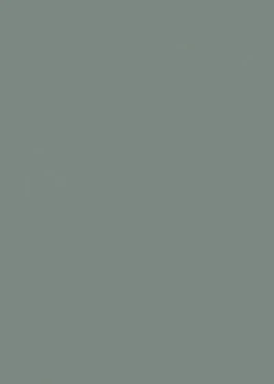 Zurfiz Supermatt Sage Green door