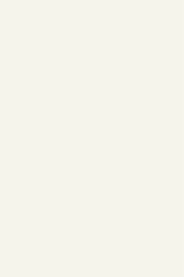 Zurfiz Supermatt White Grey door