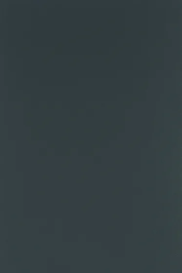 Zurfiz Ultragloss Metallic Anthracite door